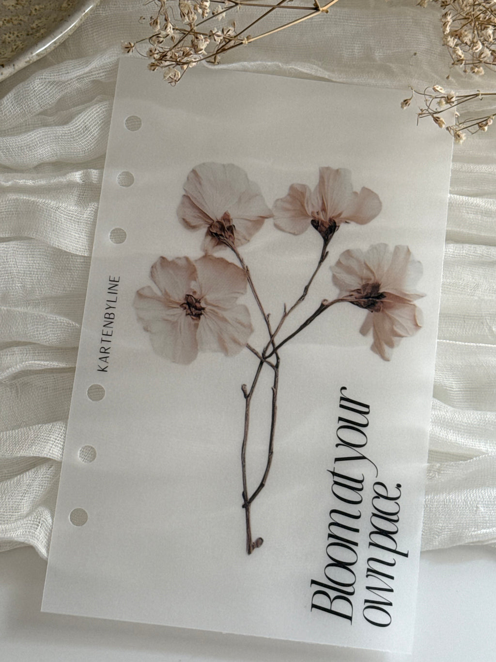 Deckblatt I bloom