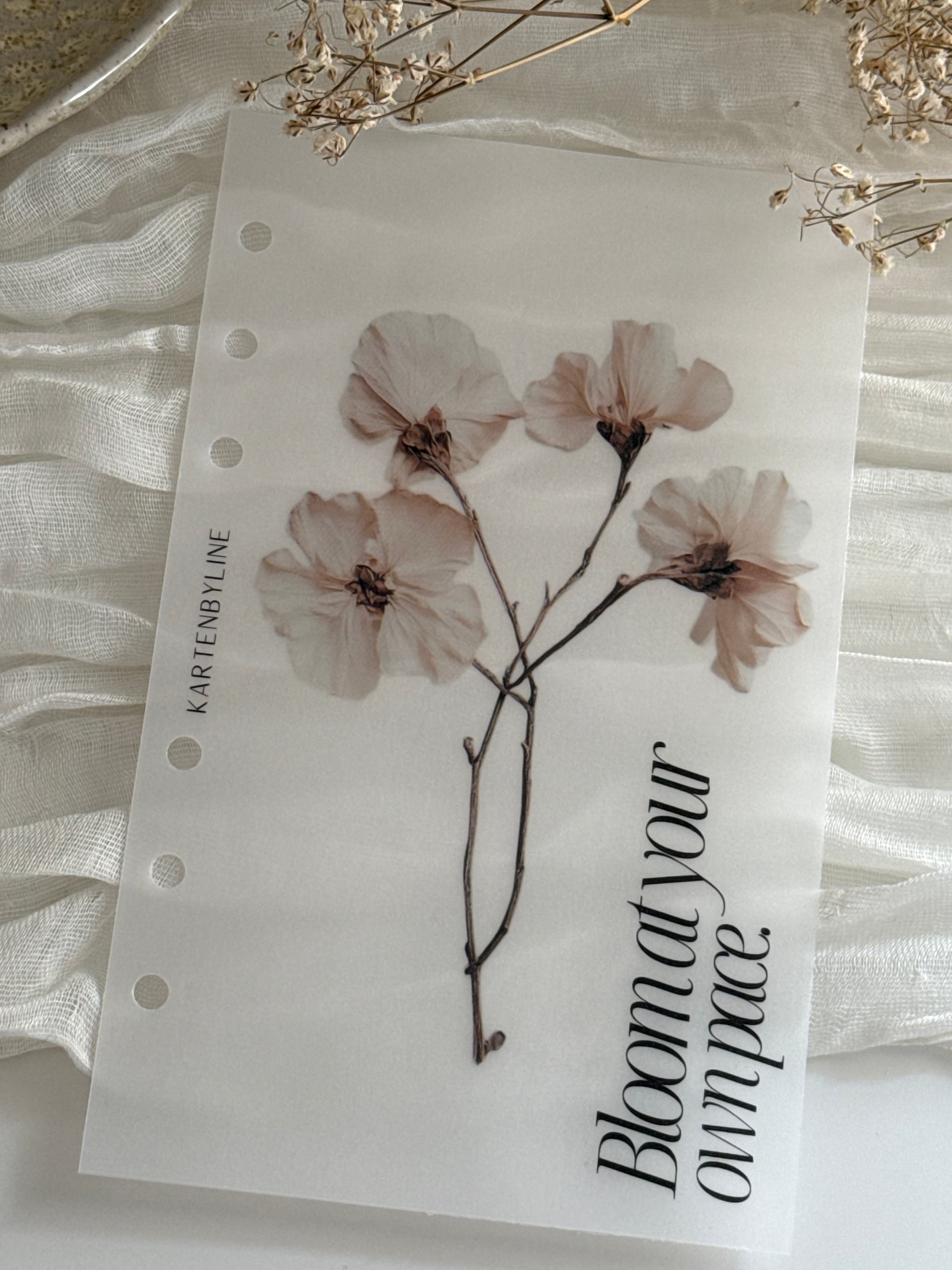 Deckblatt I bloom