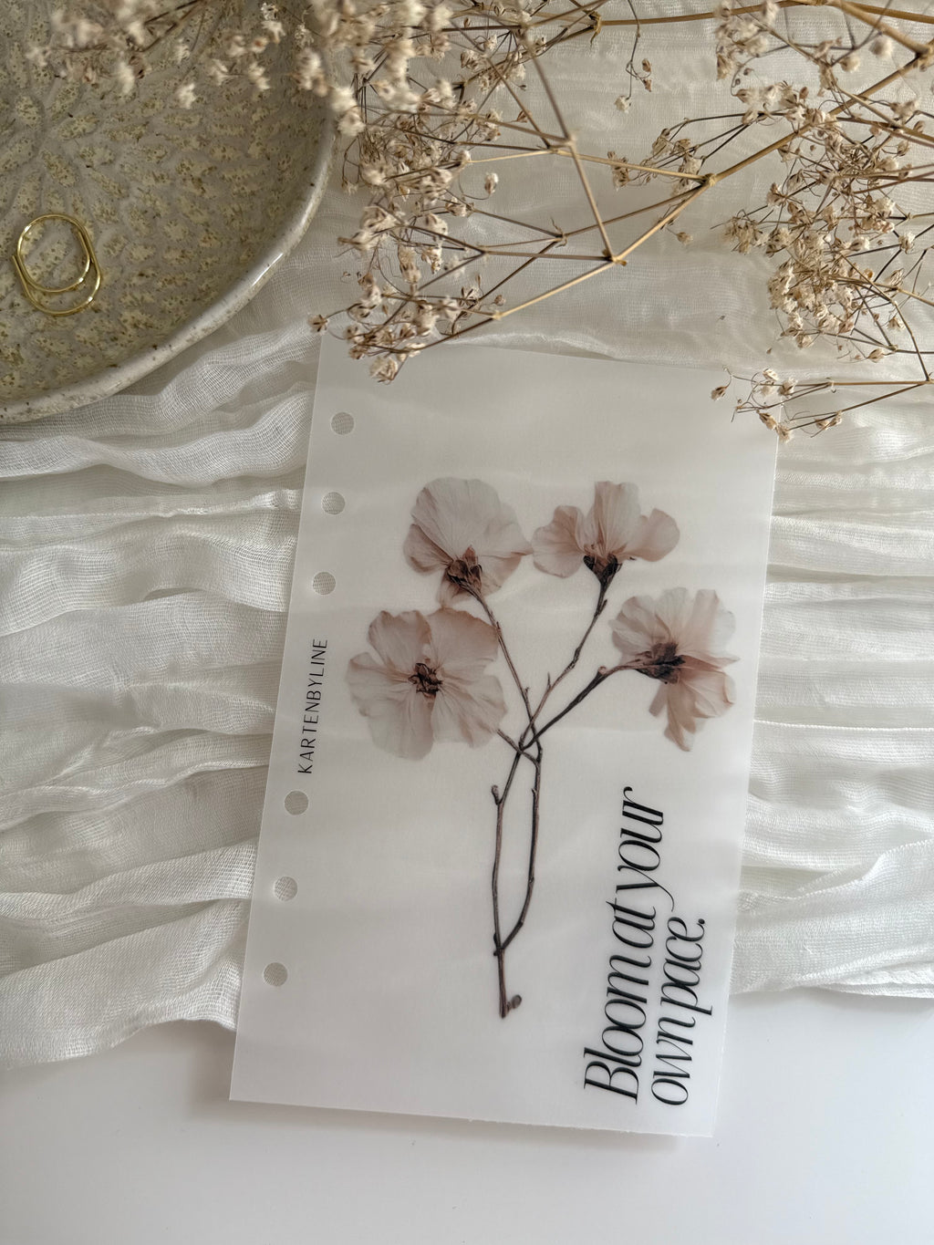 Deckblatt I bloom