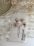 Deckblatt I bloom
