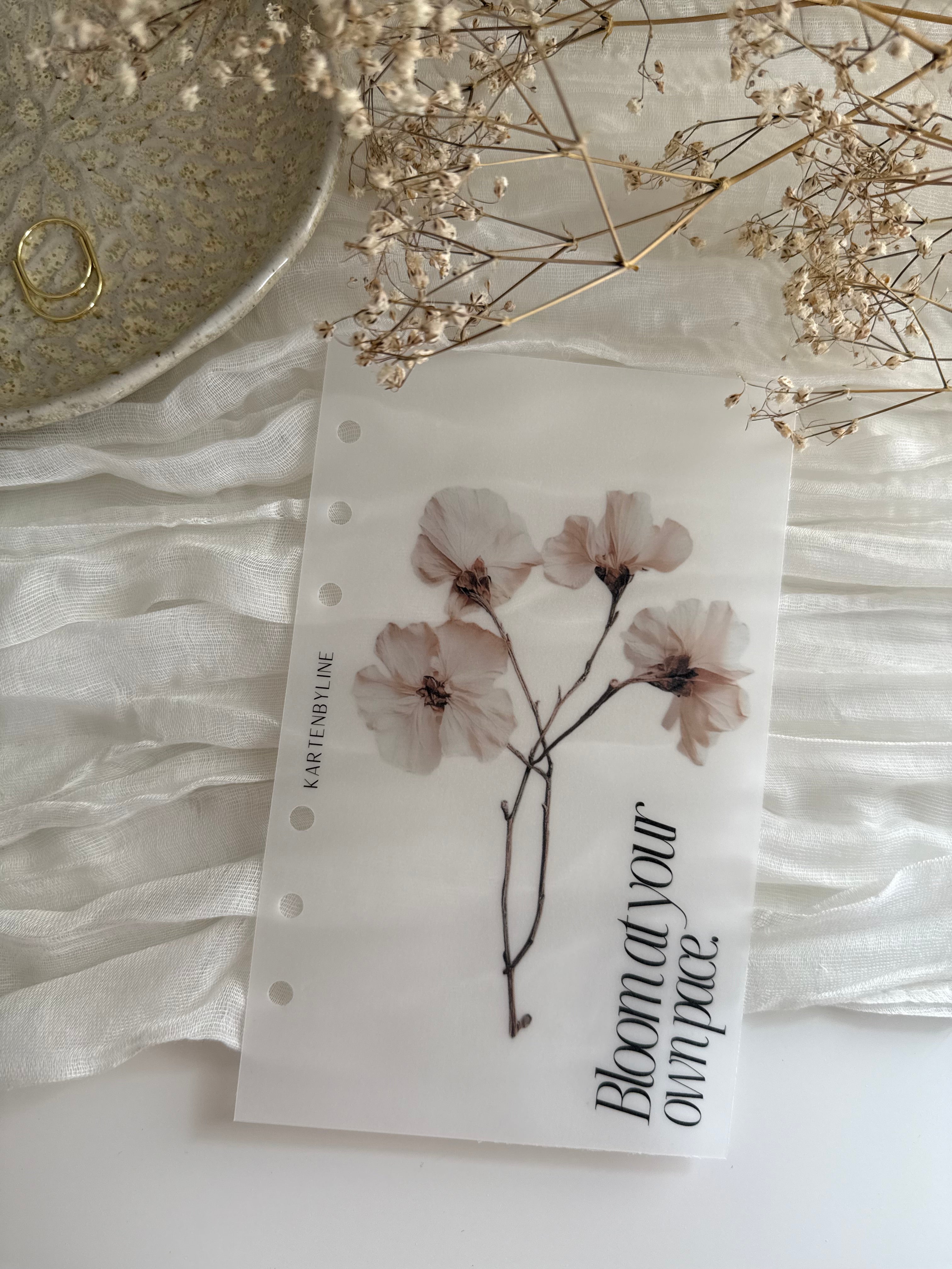 Deckblatt I bloom