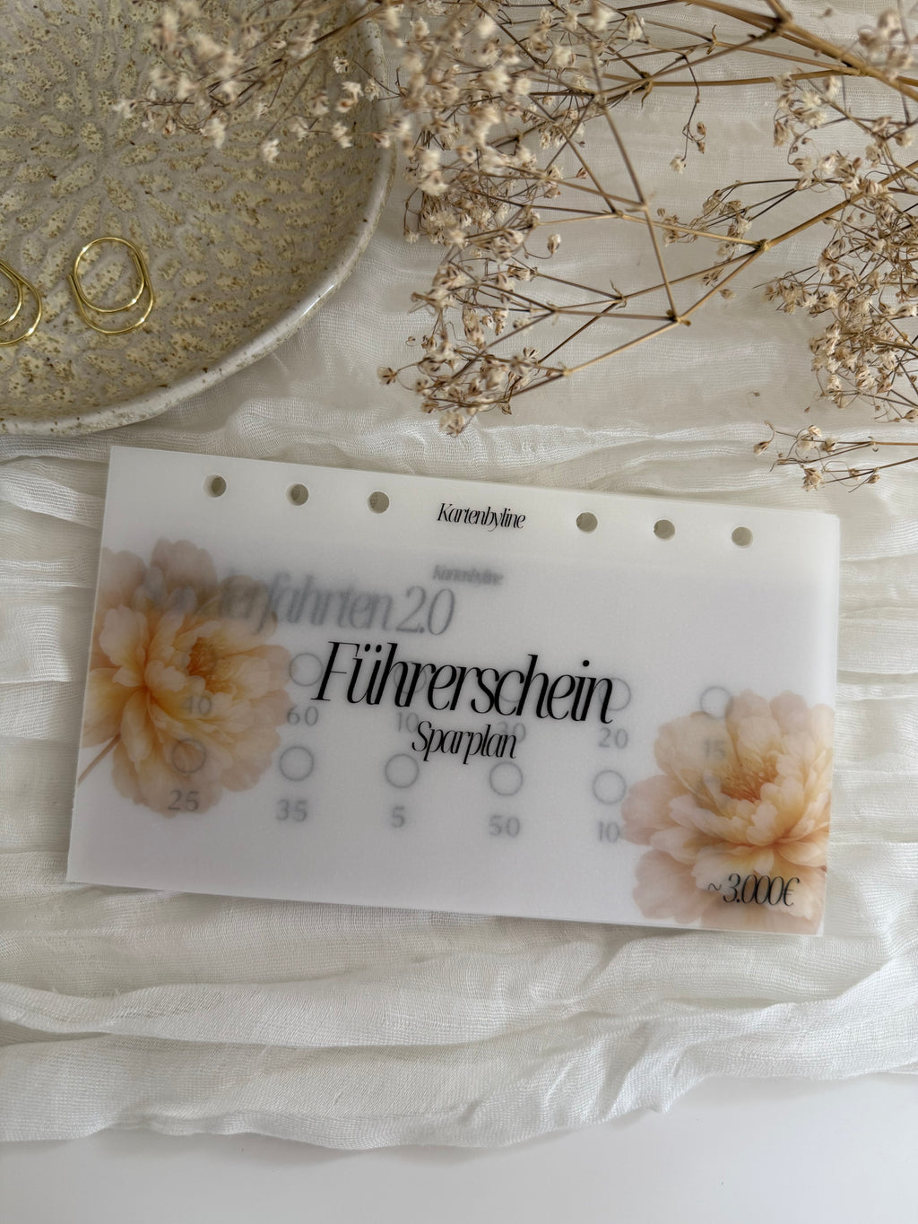 Sparplan Führerschein