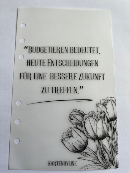 Deckblätter - B-Ware A6